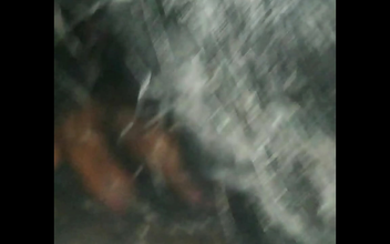 Desi MILF Reshma Sets the Bus Ablaze with Her Alluring Moves