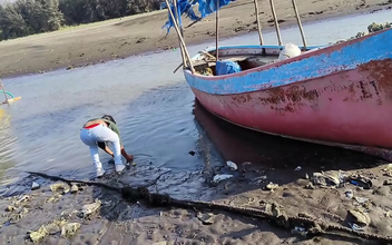 Indulge in the Sensual Delight of Desi Bhabhis' Outdoor Sexcapades